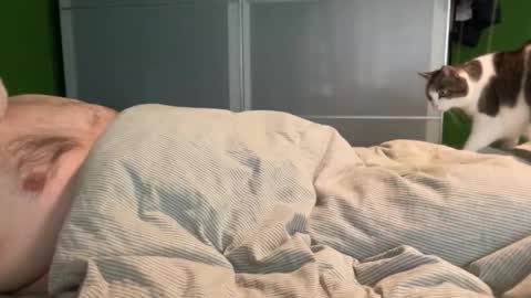 Snapshot of slice5 chatting on April 2026 08:34:01 AM slice5 online show from April 2026 08:34:01 AM