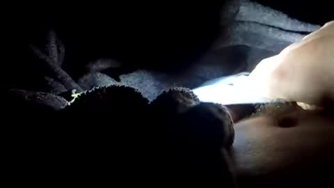 Snapshot of slimbigd69420 chatting on November 2025 05:02:01 AM slimbigd69420 online show from November 2025 05:02:01 AM