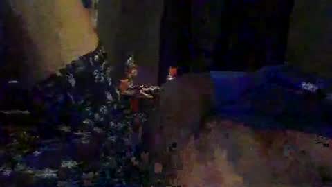 Snapshot of slimeguy315 chatting on September 2025 03:40:01 AM slimeguy315 online show from September 2025 03:40:01 AM