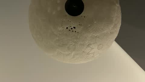 Snapshot of slimguy03 chatting on January 2025 03:25:02 AM slimguy03 online show from January 2025 03:25:02 AM