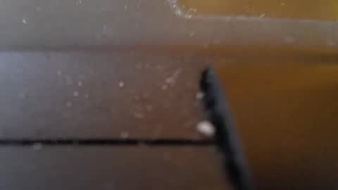 Jemila online show from January 2025 01:27:01 AM