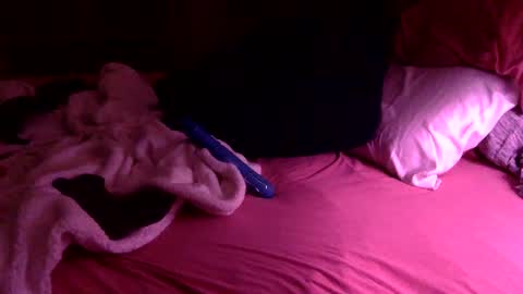 Slip Inside Wet Orchid online show from January 2025 02:27:01 AM