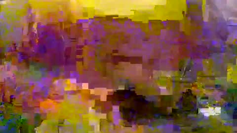 Snapshot of slip_inslide chatting on March 2025 06:11:01 PM slip_inslide online show from March 2025 06:11:01 PM