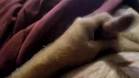 Snapshot of slitlicke69696969 chatting on September 2025 01:56:01 PM slitlicke69696969 online show from September 2025 01:56:01 PM