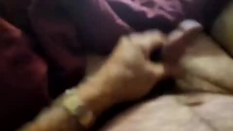 Snapshot of slitlicke69696969 chatting on September 2025 10:28:01 AM slitlicke69696969 online show from September 2025 10:28:01 AM