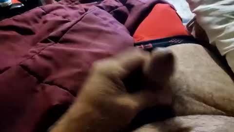 Snapshot of slitlicke69696969 chatting on October 2025 09:10:01 AM slitlicke69696969 online show from October 2025 09:10:01 AM