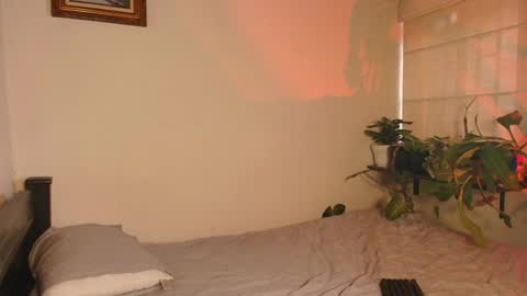 slowburnmystic online show from February 2026 10:31:01 PM