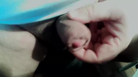 Snapshot of smallpforu chatting on February 2026 03:50:02 PM Small Pekka online show from February 2026 03:50:02 PM