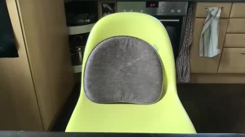 smart_sex69 online show from March 2025 11:33:02 AM