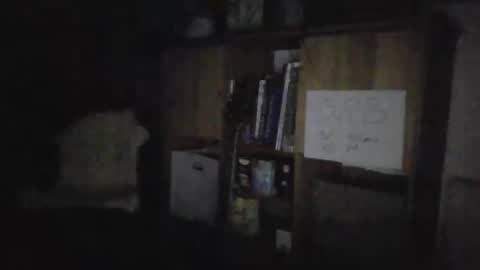 Snapshot of smiling_hillbilly chatting on January 2025 04:30:02 AM smileing hillbilly online show from January 2025 04:30:02 AM