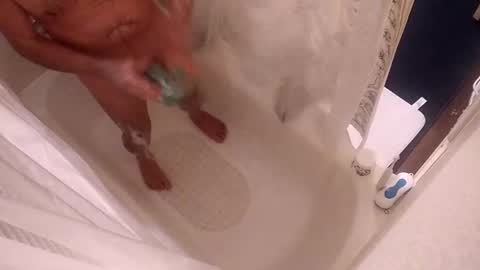 Snapshot of smithology chatting on January 2025 03:11:02 AM Smithology online show from January 2025 03:11:02 AM