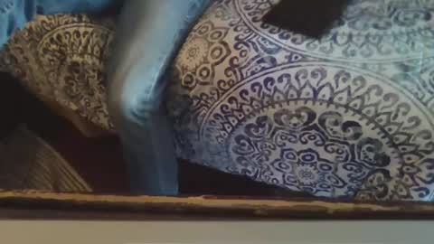 Snapshot of smithology chatting on February 2025 10:26:02 PM Smithology online show from February 2025 10:26:02 PM