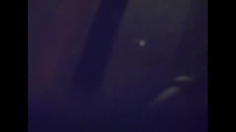 Snapshot of snake1583 chatting on January 2025 05:08:01 AM Mark online show from January 2025 05:08:01 AM