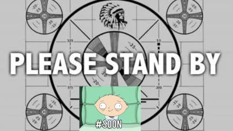 kitten online show from December 2024 06:19:01 PM