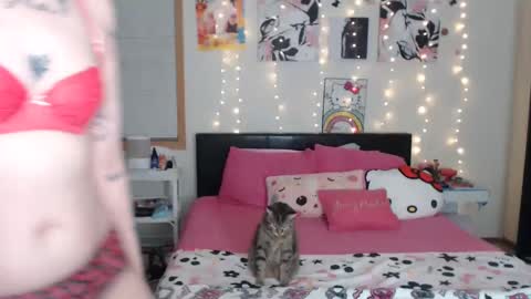 Snapshot of snow_money chatting on March 2025 04:19:01 AM snow_money online show from March 2025 04:19:01 AM