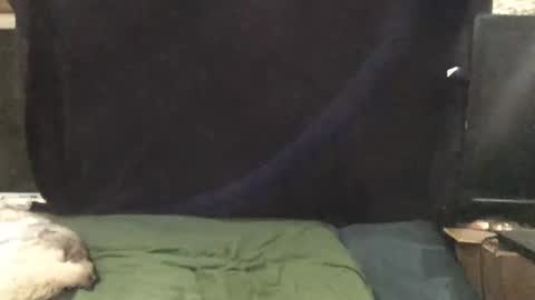 Riley Ray online show from November 2025 01:51:02 AM