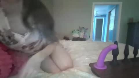 soaring_angel online show from December 2024 03:24:02 PM