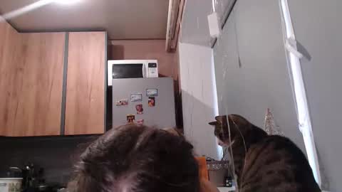 Sofi online show from January 2026 12:51:02 PM