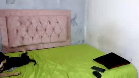 sofiadoll77 online show from February 2025 09:03:01 AM