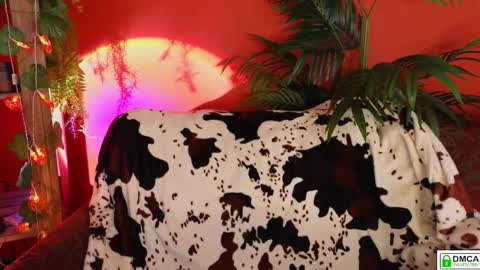 E online show from November 2025 09:14:02 AM