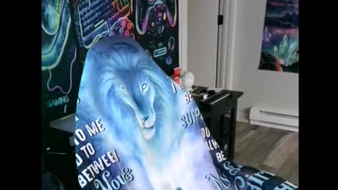 just ask  online show from February 2026 08:51:02 PM