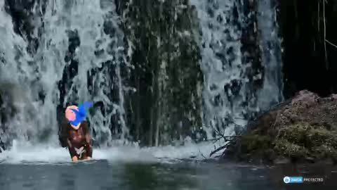 solisii online show from November 2025 09:11:02 AM