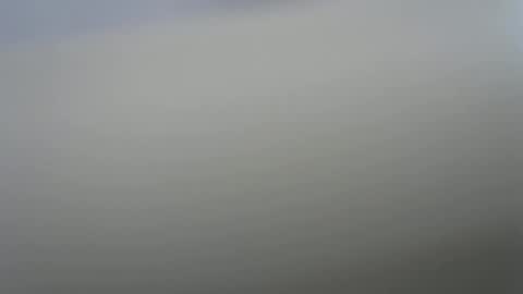 solitariodf2022 online show from January 2026 03:38:02 PM