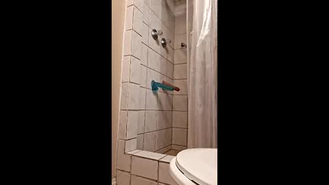 Snapshot of sologirl81 chatting on February 2026 05:38:02 PM sologirl81 online show from February 2026 05:38:02 PM