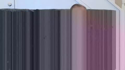 jeff online show from November 2025 01:07:02 PM