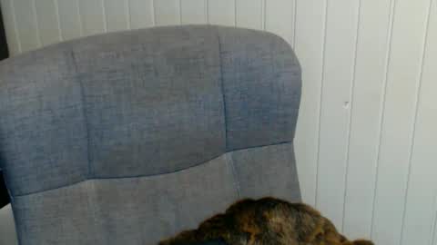 Snapshot of sonjairene chatting on January 2025 03:51:02 AM sonjairene online show from January 2025 03:51:02 AM