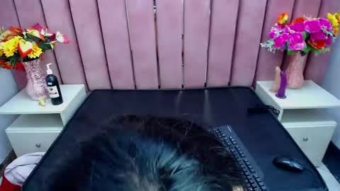 Snapshot of sophi_hardd chatting on December 2024 10:13:01 PM sophi_hardd online show from December 2024 10:13:01 PM