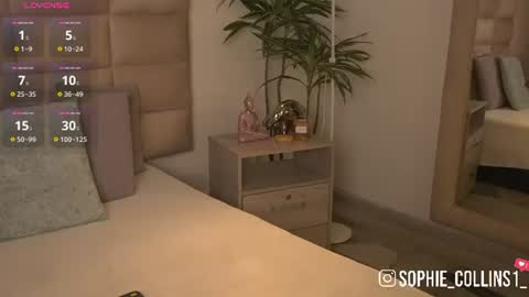 Sophie online show from July 2026 12:00:01 PM