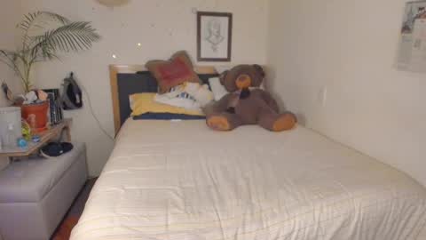 SofiTrans21 online show from January 2026 10:26:01 PM