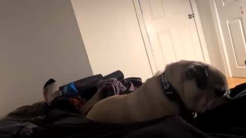 souls6207 online show from March 2026 08:31:02 AM