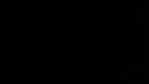 source1012 online show from December 2024 03:24:01 AM