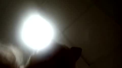 Candy   online show from September 2025 07:37:02 PM