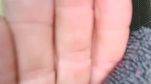 sowbilbao1 online show from April 2026 01:19:01 PM