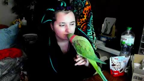 Snapshot of spanking_girls chatting on June 2026 09:53:01 PM Evgenia online show from June 2026 09:53:01 PM