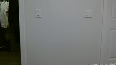 specialiest online show from January 2026 06:13:02 PM