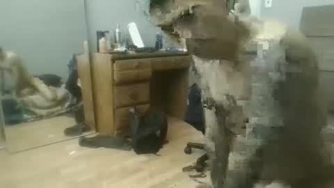 Snapshot of speedfreekeespun chatting on February 2025 07:14:01 PM speedfreekeespun online show from February 2025 07:14:01 PM