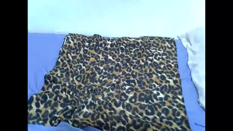 Kittle online show from November 2025 04:56:01 PM