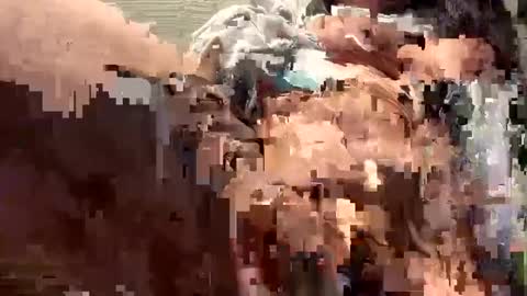 Snapshot of spicysam7901 chatting on December 2024 07:32:02 PM Sammi online show from December 2024 07:32:02 PM