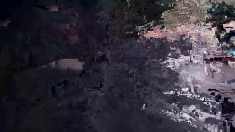 Snapshot of spider00969 chatting on February 2026 02:42:01 AM spider00969 online show from February 2026 02:42:01 AM