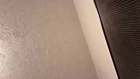 spnk6me9 online show from March 2026 10:21:02 PM