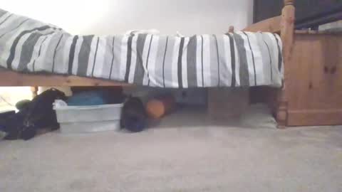 Snapshot of sportyguy283 chatting on March 2025 10:05:02 PM Sportyguy283 online show from March 2025 10:05:02 PM