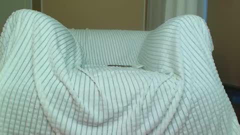 Amelia online show from October 2025 06:58:01 AM