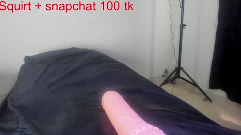Snapshot of squirtle_girl chatting on December 2024 09:56:01 PM Lizzy online show from December 2024 09:56:01 PM