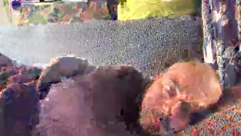 srekos38 online show from October 2025 12:37:01 PM