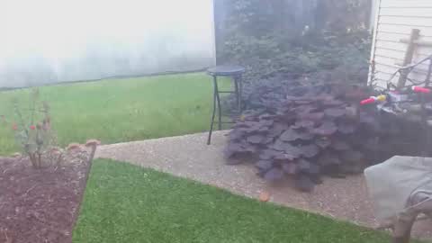 srtxshow online show from October 2025 01:45:02 PM