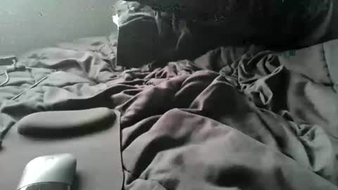 sscccooottt online show from June 2026 12:24:02 AM